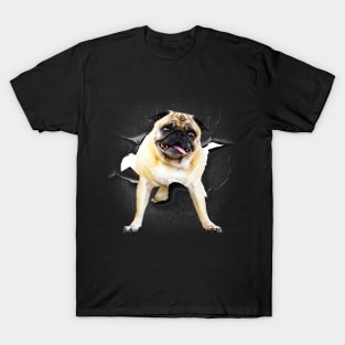 Funny Cute Pug Dog Poking Head, Cracked Wall T-Shirt